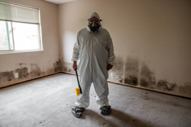 Best Industrial Mold Remediation  in Alamosa East, CO